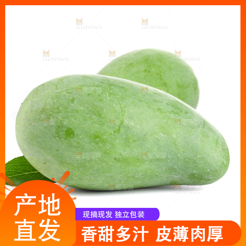 白底上的象牙芒