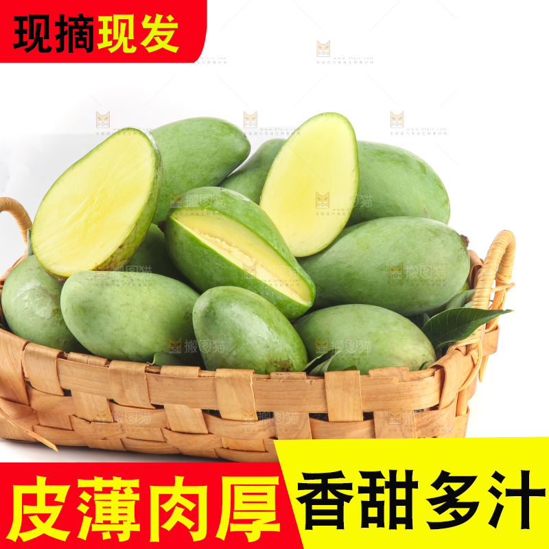 白底上的象牙芒