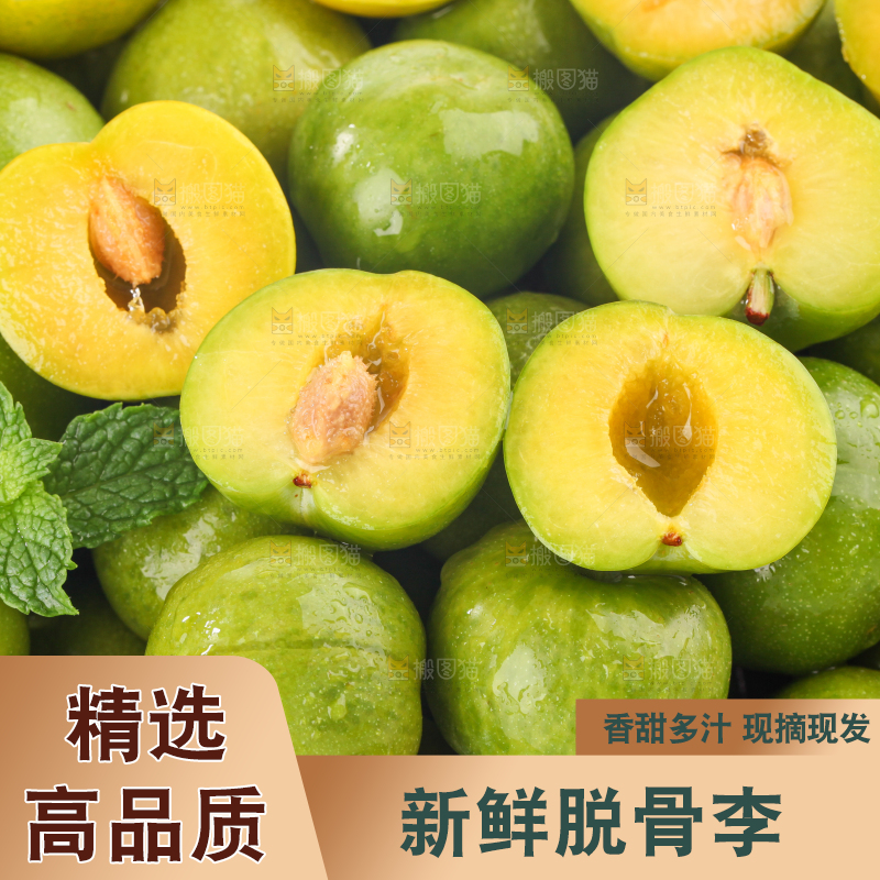 白底上的青脆脱骨李