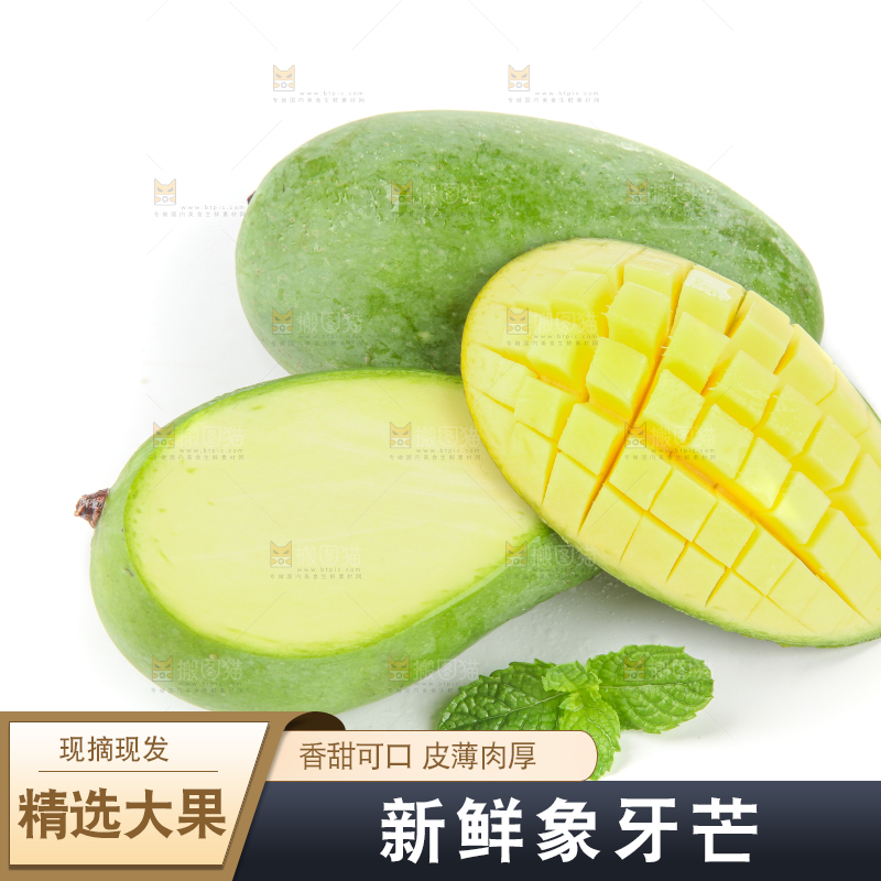 白底上的象牙芒
