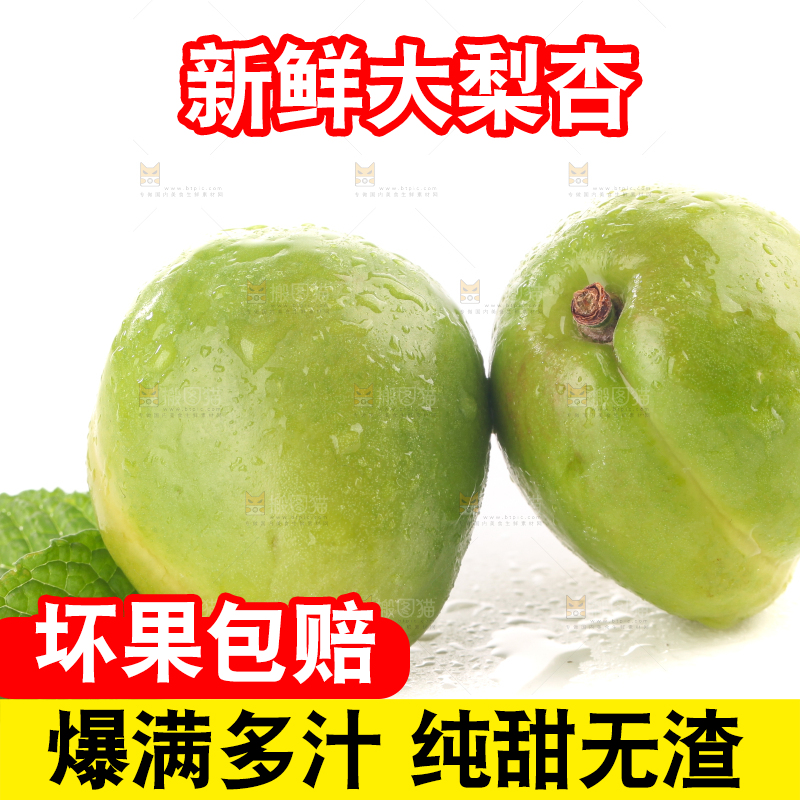 白底上的大梨杏