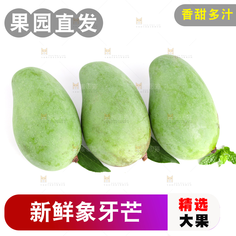 白底上的象牙芒