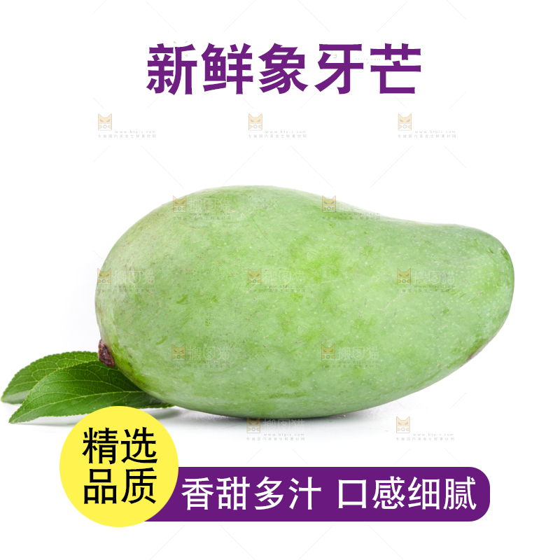白底上的象牙芒