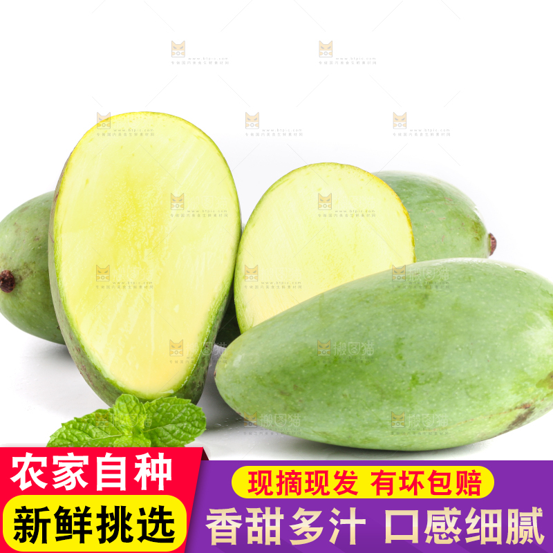 白底上的象牙芒