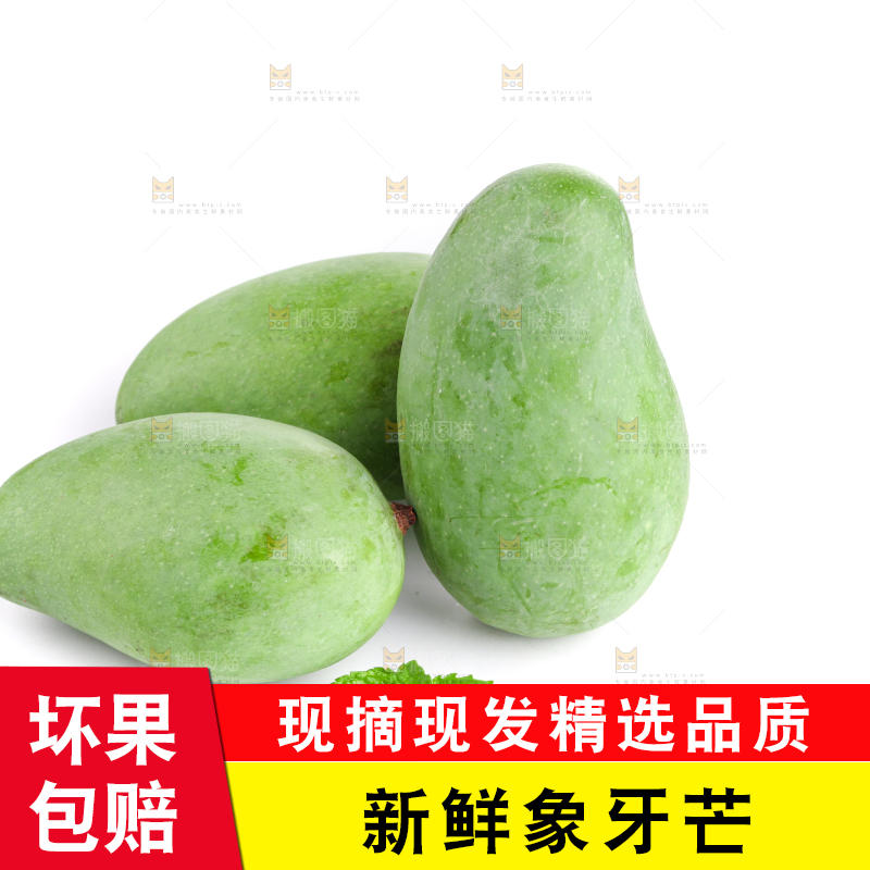 白底上的象牙芒