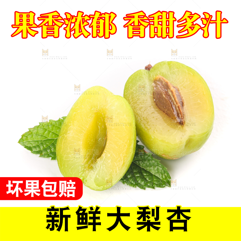 白底上的大梨杏