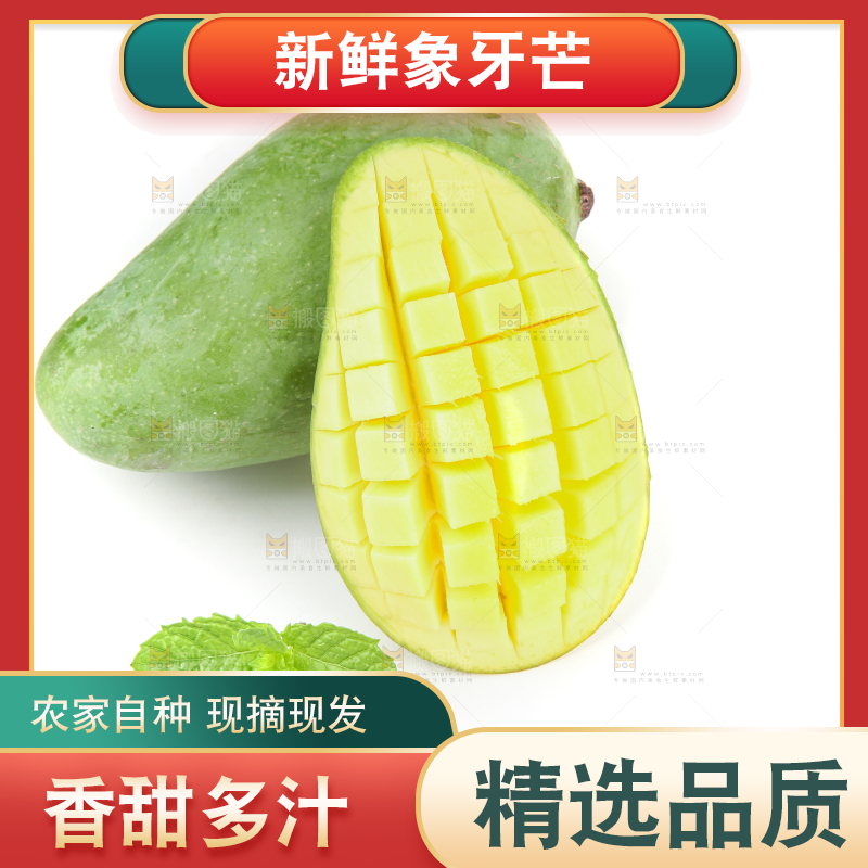 白底上的象牙芒