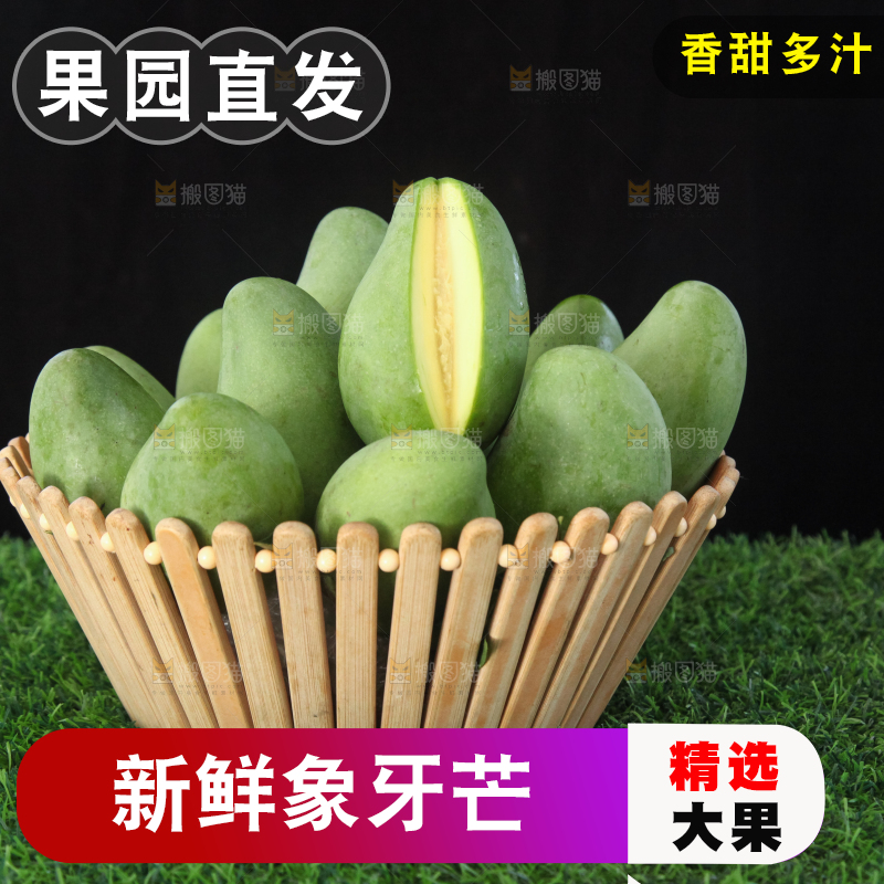 草地上的象牙芒