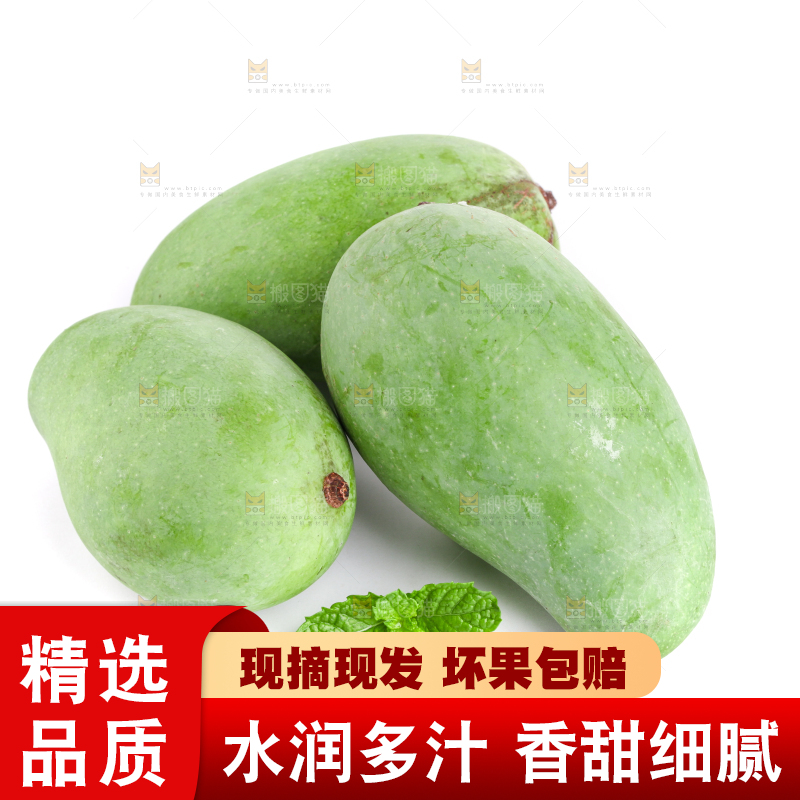 白底上的象牙芒