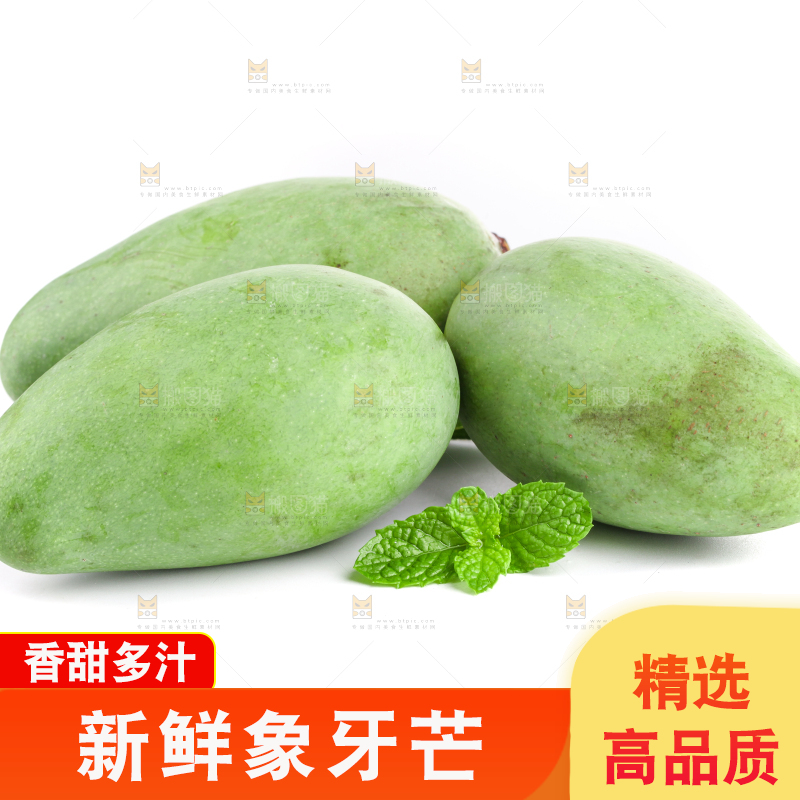 白底上的象牙芒