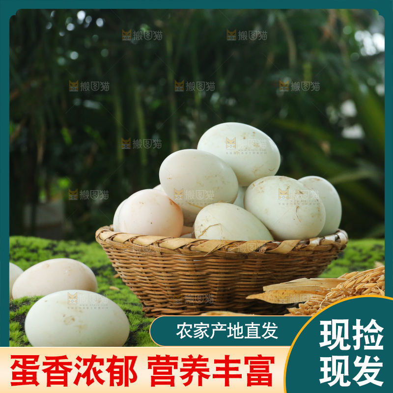 深底上的鸭蛋