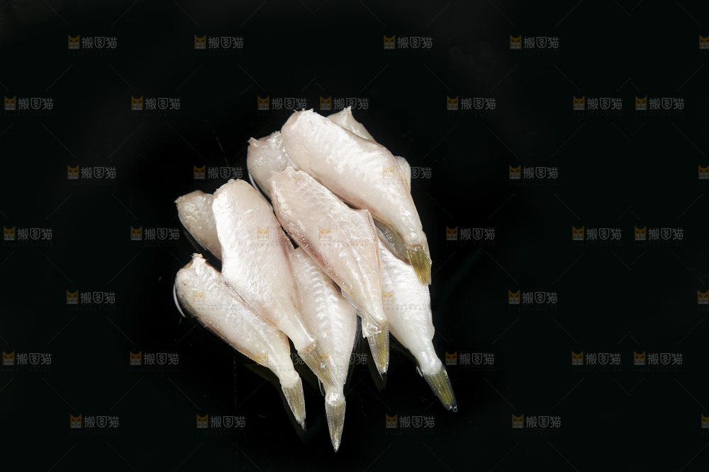 深底上的耗儿鱼