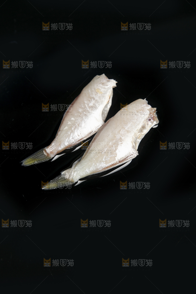 深底上的耗儿鱼
