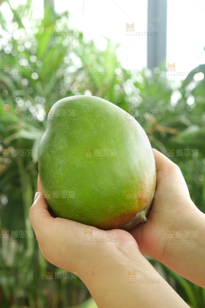 手里拿着凯特芒
