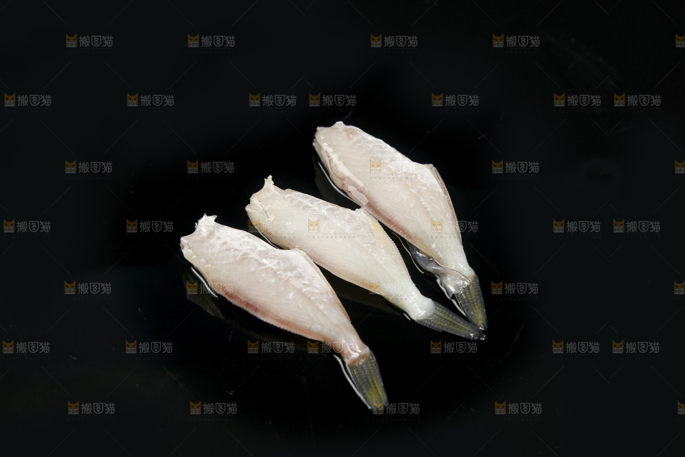 深底上的耗儿鱼