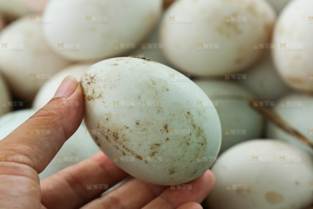 深底上的鸭蛋