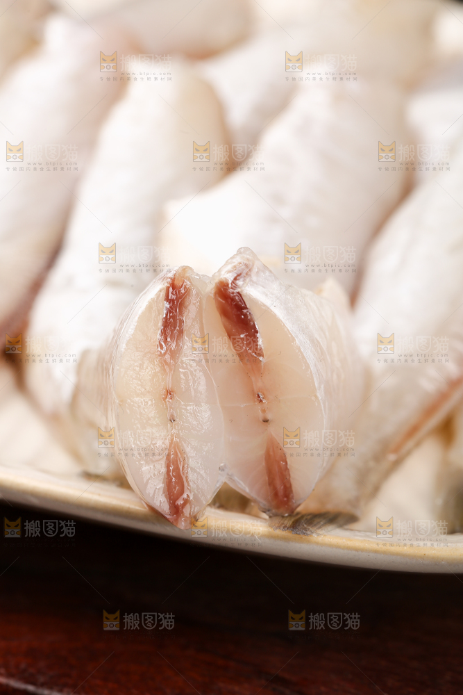 深底上的耗儿鱼