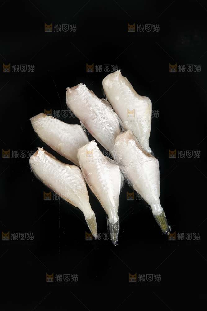深底上的耗儿鱼