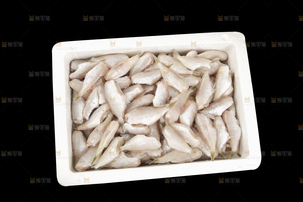 深底上的耗儿鱼