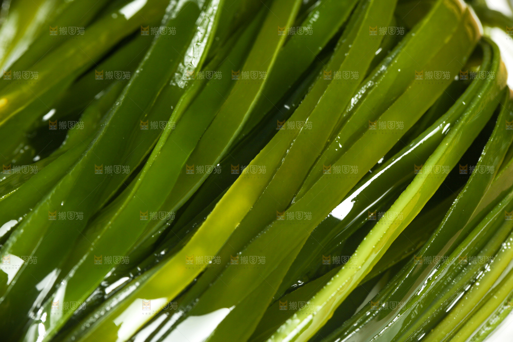 木底上的压缩海带丝