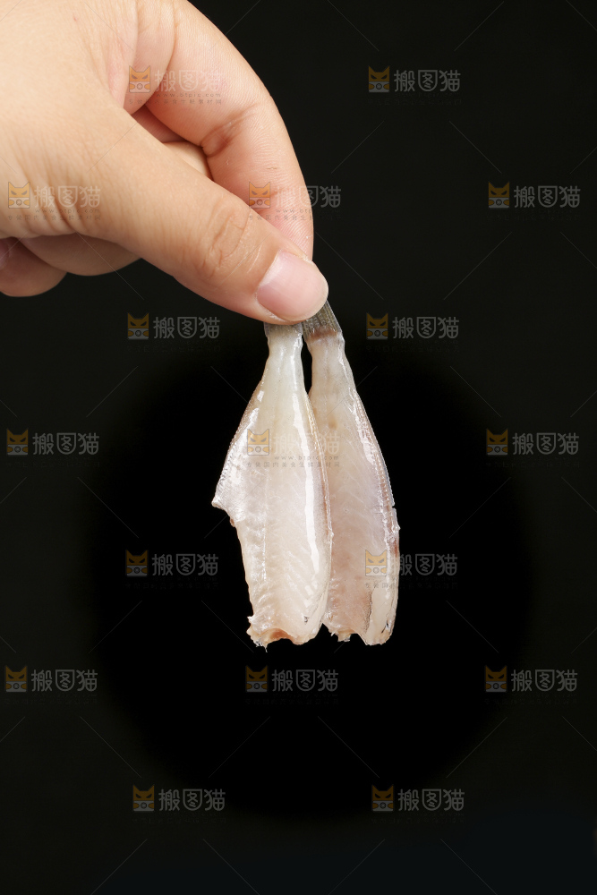 深底上的耗儿鱼
