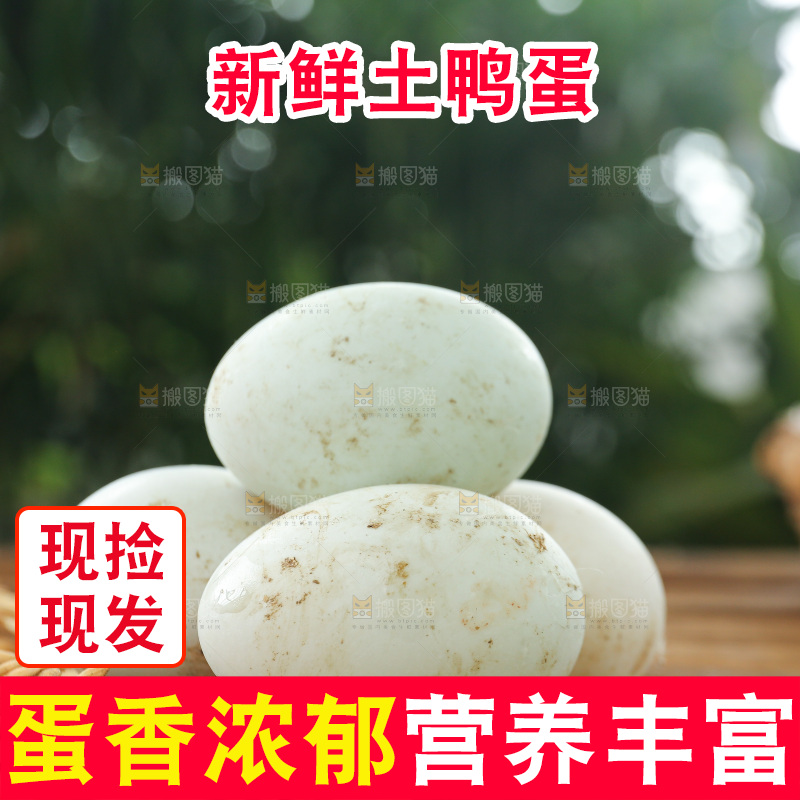 深底上的鸭蛋