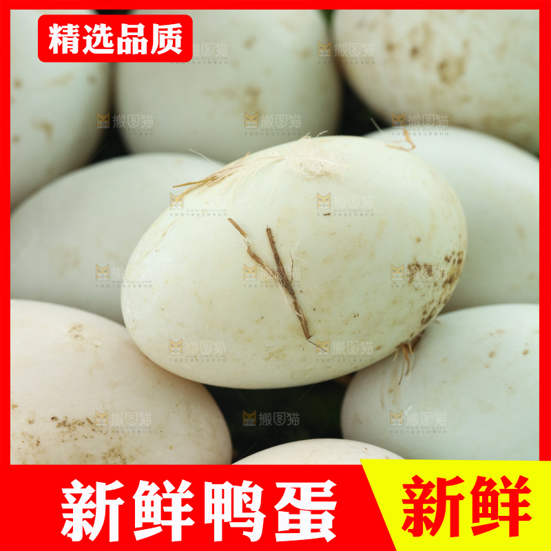 深底上的鸭蛋