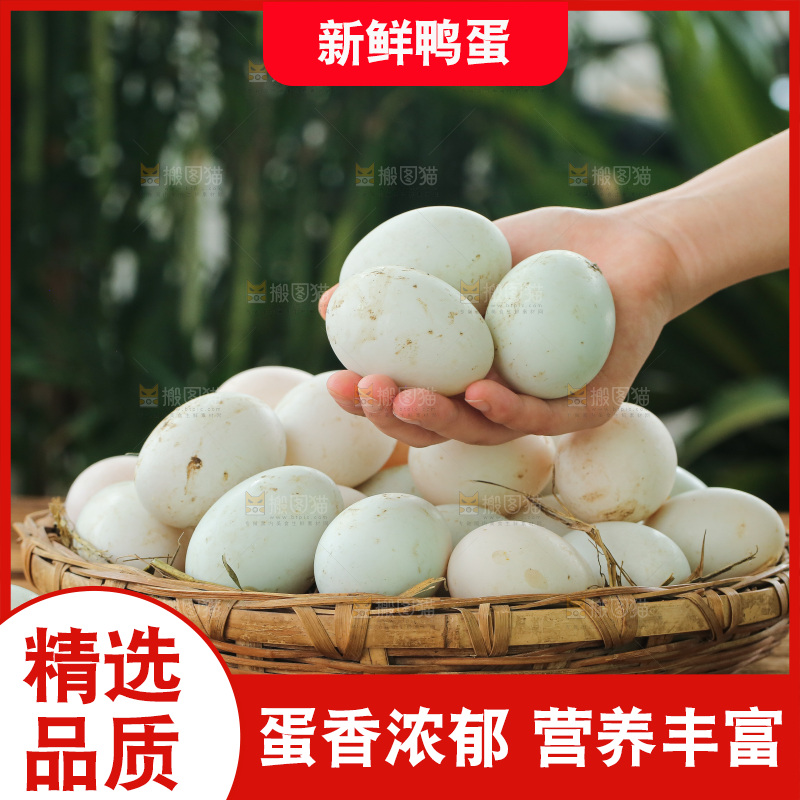 深底上的鸭蛋