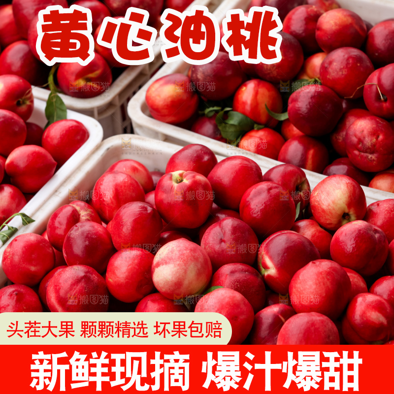 现摘的新鲜黄心油桃
