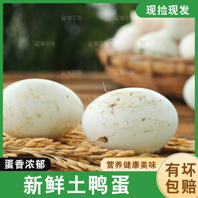 深底上的鸭蛋
