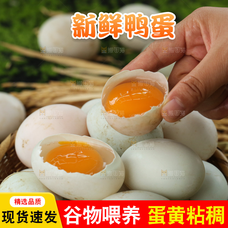深底上的鸭蛋