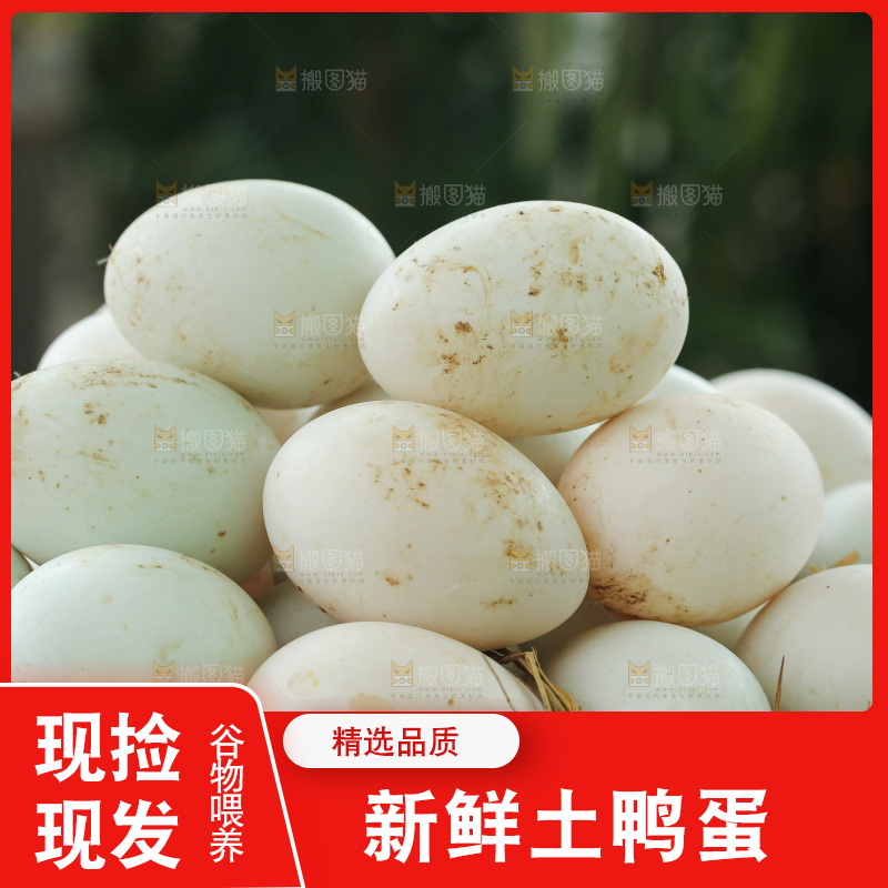 深底上的鸭蛋