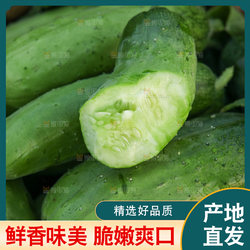 手里拿着刺黄瓜