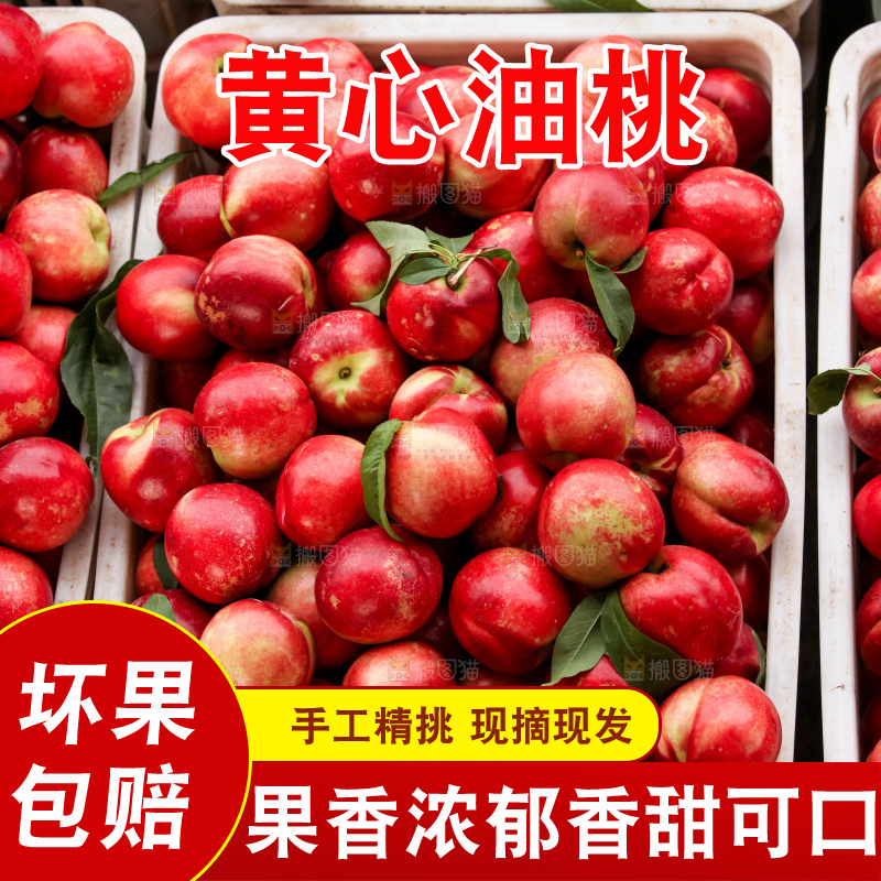 现摘的新鲜黄心油桃