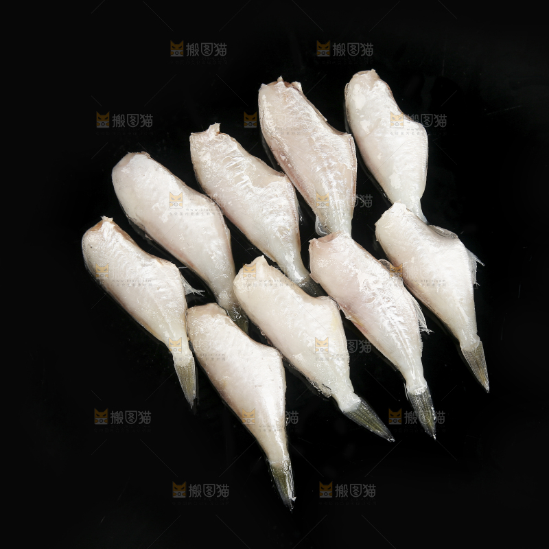 深底上的耗儿鱼