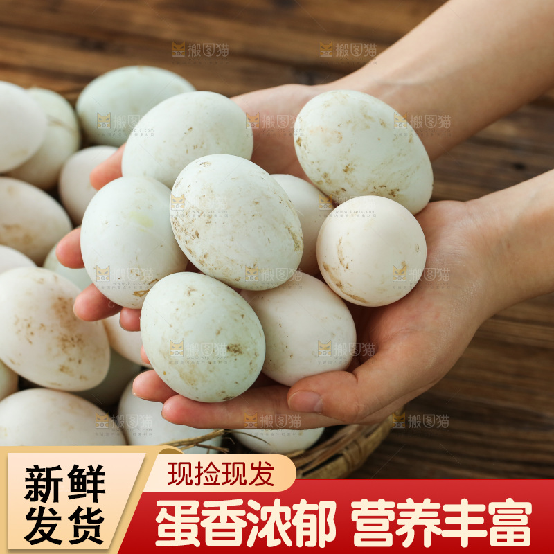 深底上的鸭蛋