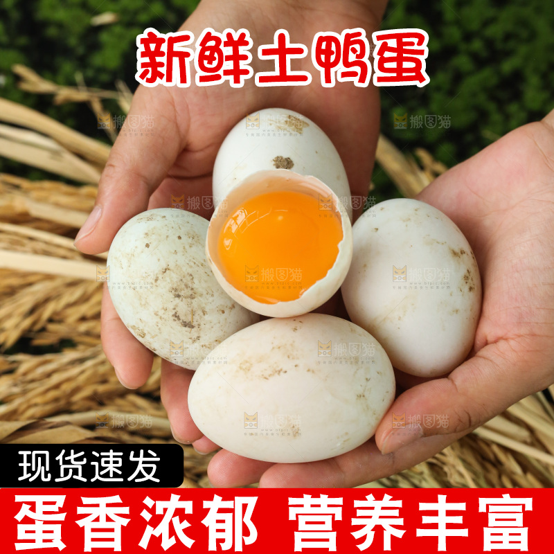 深底上的鸭蛋