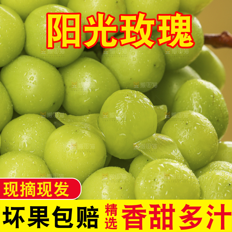 浅底上的阳光玫瑰青提