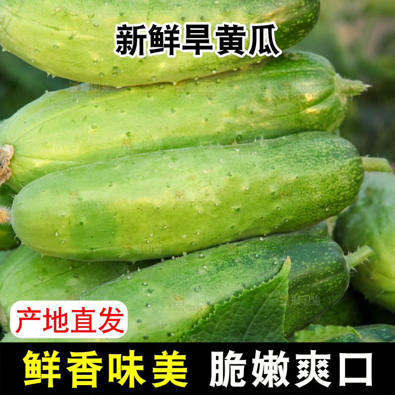 手里拿着刺黄瓜