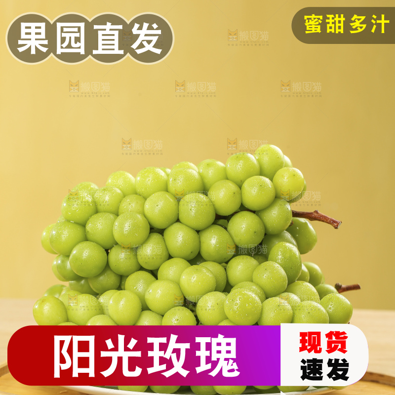浅底上的阳光玫瑰青提