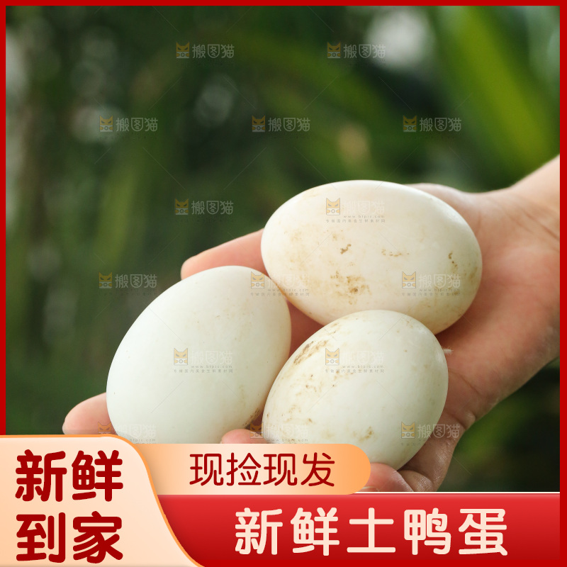 深底上的鸭蛋
