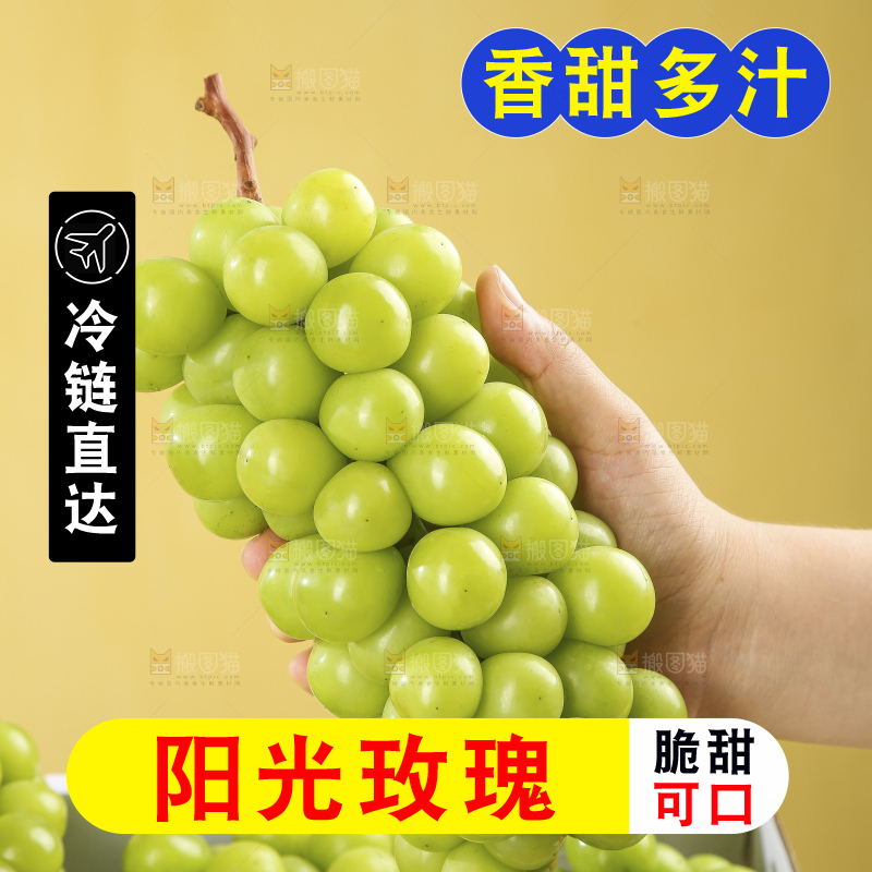 浅底上的阳光玫瑰青提