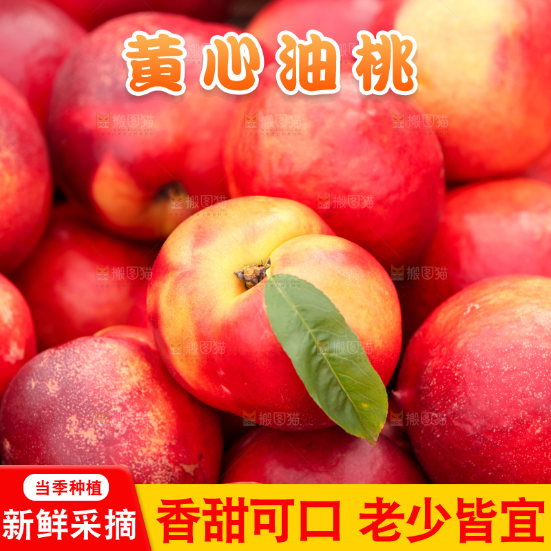 现摘的新鲜黄心油桃