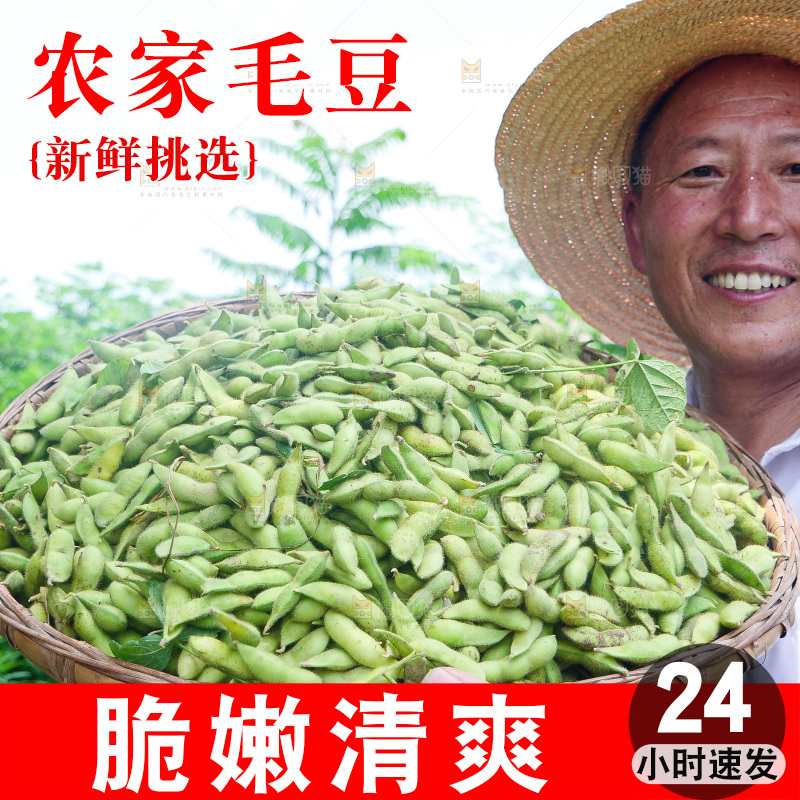 手里拿着现摘毛豆