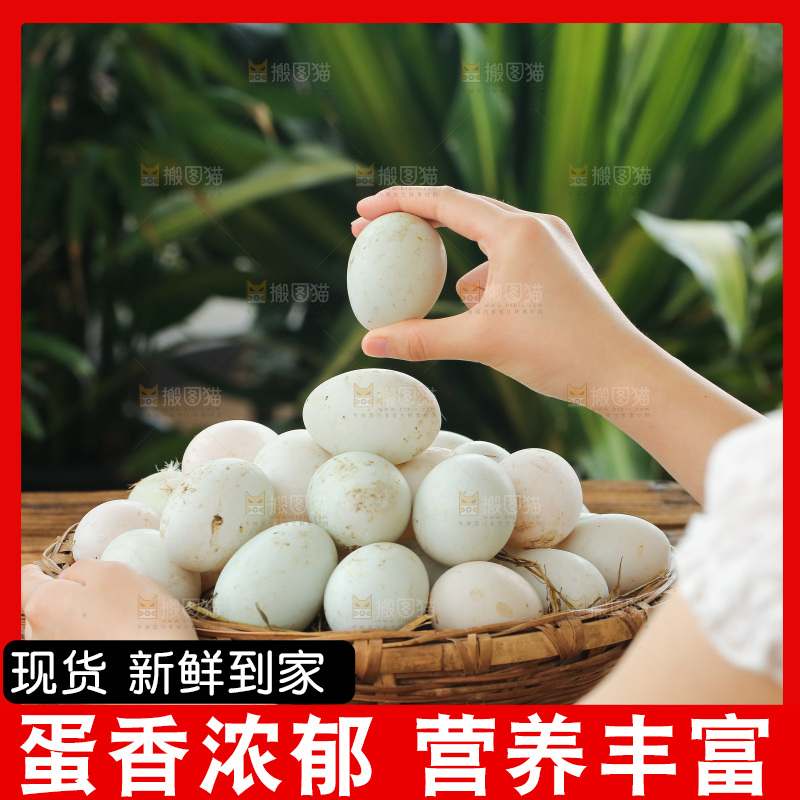 深底上的鸭蛋