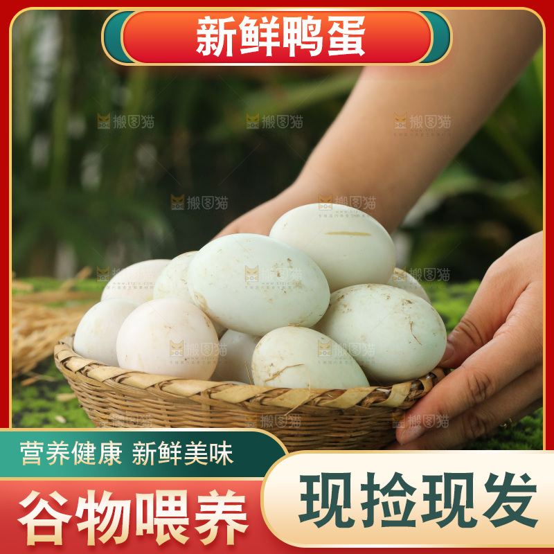 深底上的鸭蛋