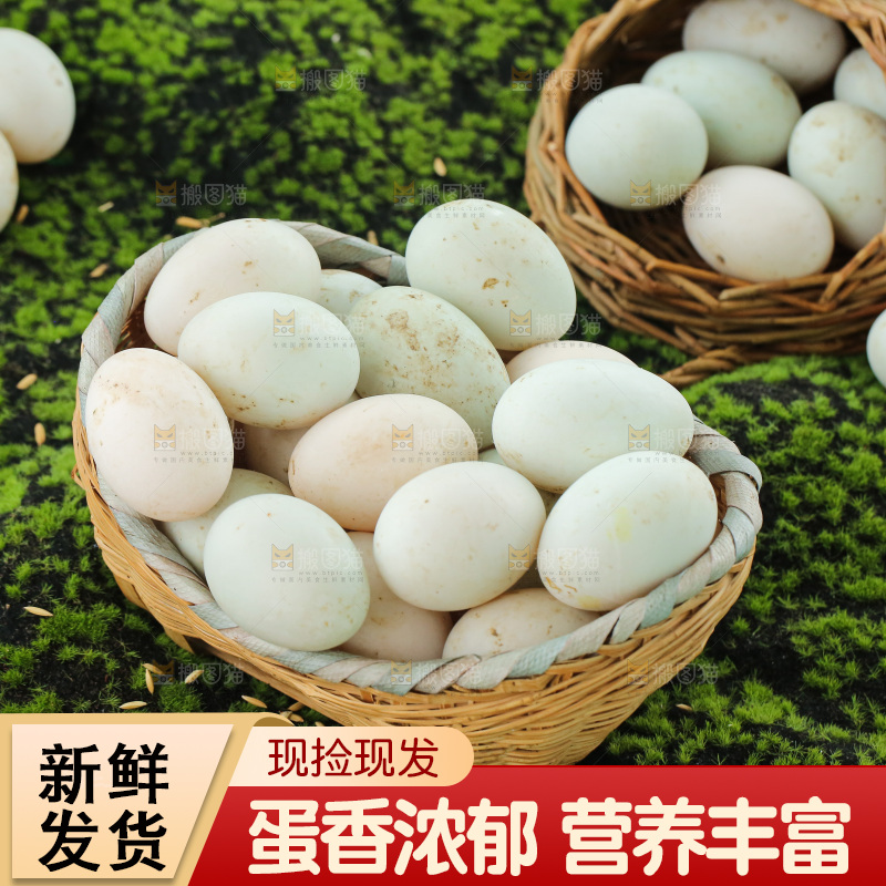 深底上的鸭蛋