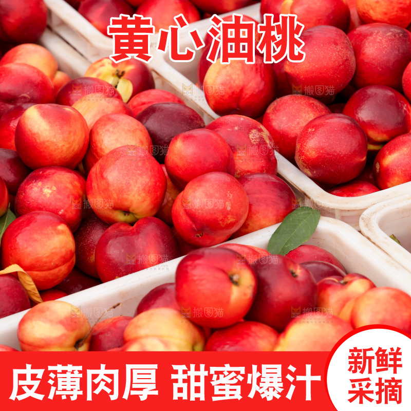 现摘的新鲜黄心油桃