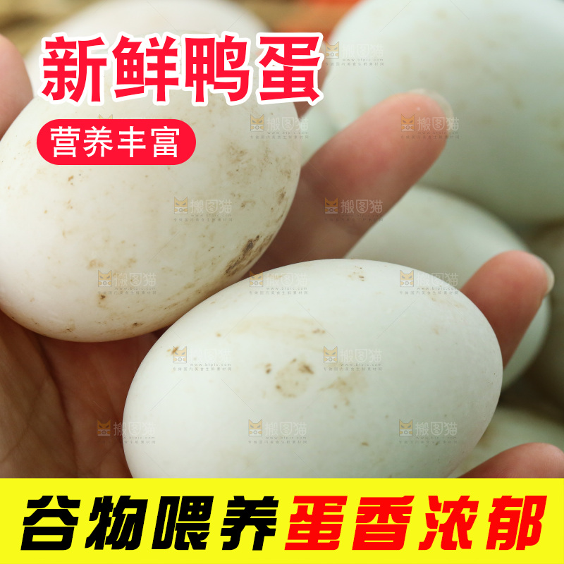 深底上的鸭蛋