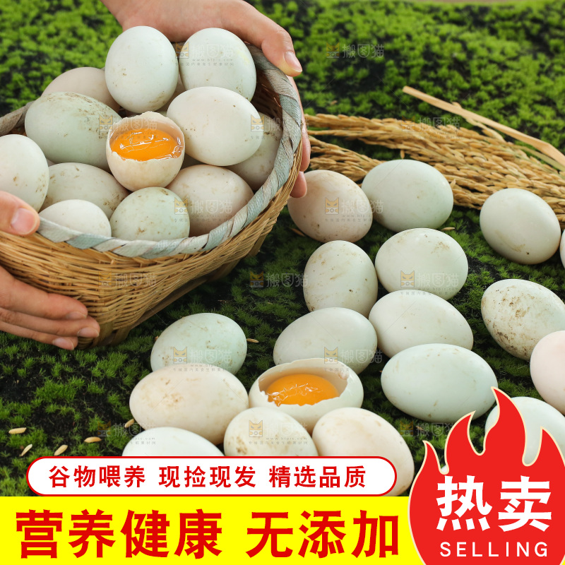 深底上的鸭蛋